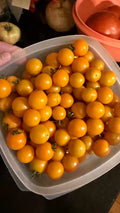 Cherry Tomatoes (Yellow)