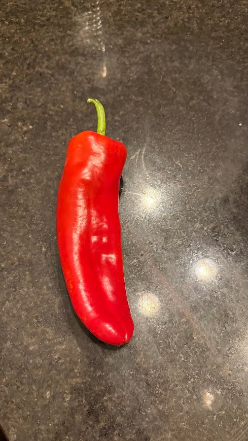 Pepper - Costa Rica Sweet